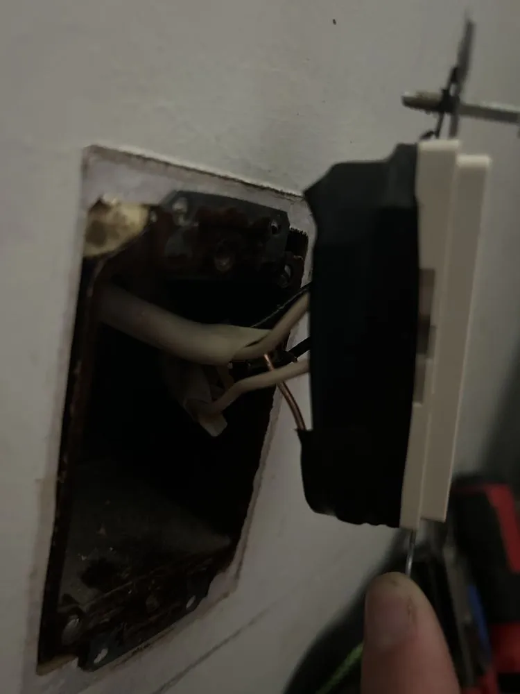 Professional yard maintenance in Fort Worth, TX by Wright Pro Way