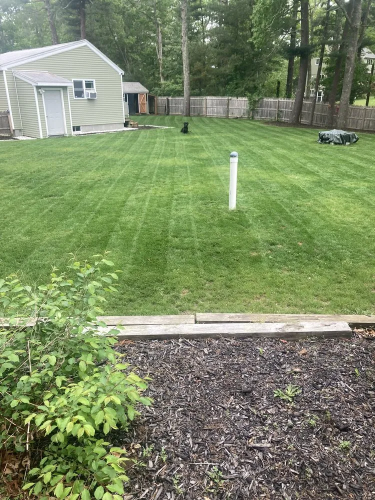 Professional lawn care service in Plymouth, MA - Wright Property Management Services