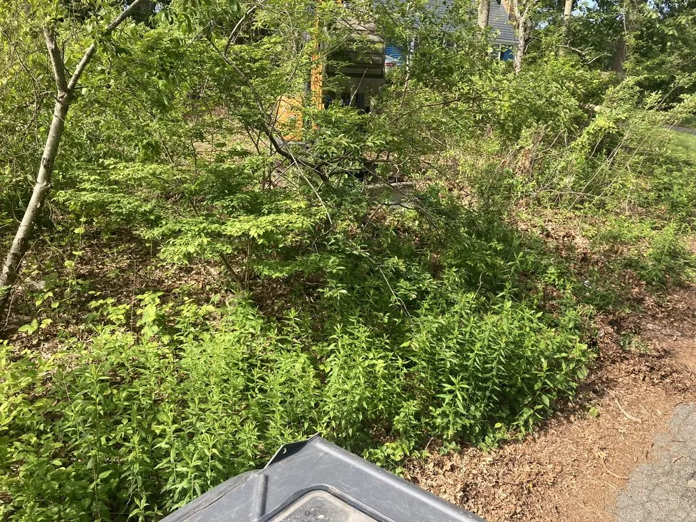 Top-rated landscaping services for outdoor upgrades in Plymouth, MA by Wright Property Management Services