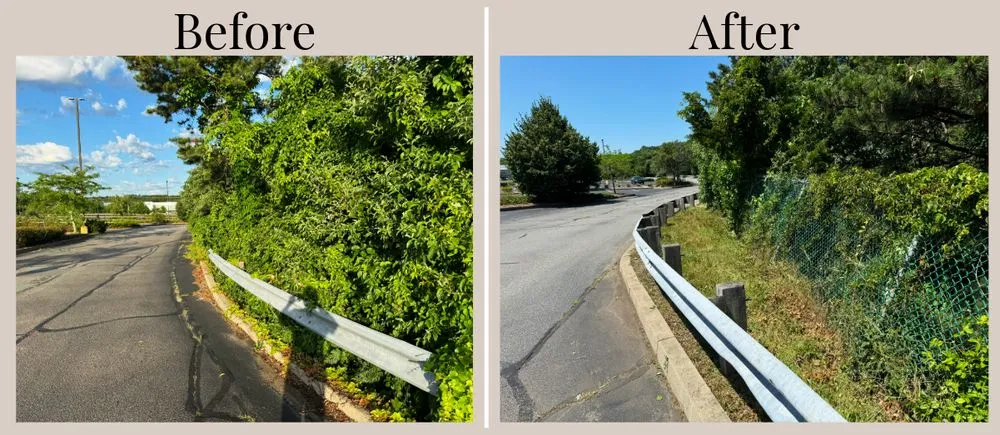 Top-rated lawn care service in Plymouth, MA by Wright Property Management Services