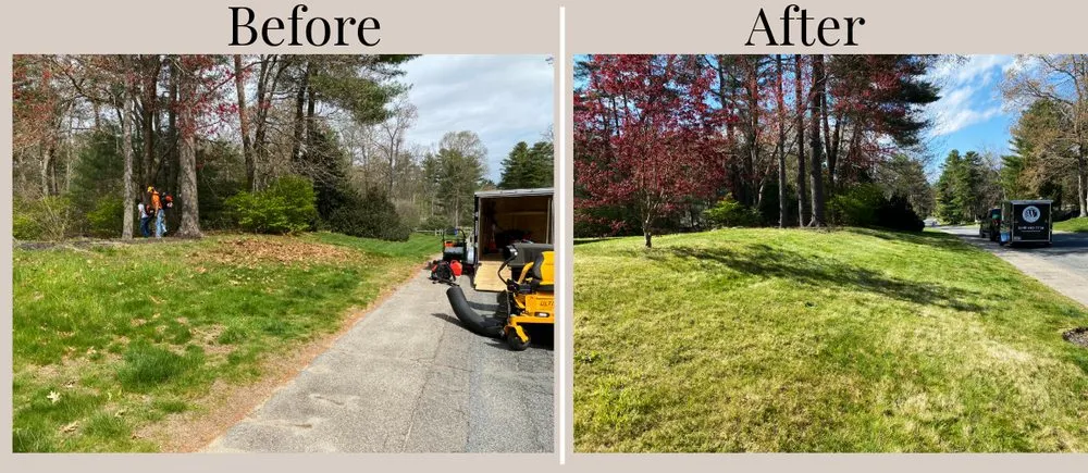 Local yard cleanup service for residential properties in Plymouth, MA by Wright Property Management Services
