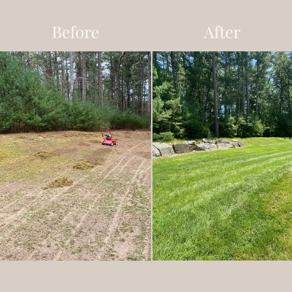 Custom lawn care service for year-round maintenance in Plymouth, MA by Wright Property Management Services