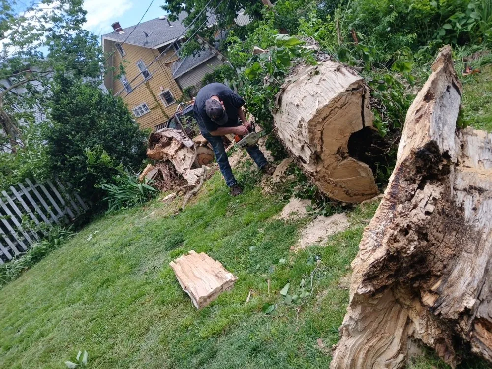 Trusted landscape installation experts serving Dayton, OH - Wright Tree Care