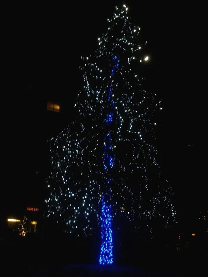 Expert yard cleanup service in Colorado Springs, CO - Wright Tree Lawn & Landscape Care