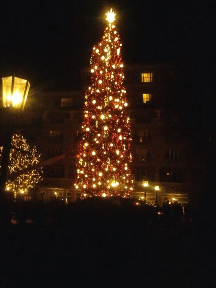 Top-rated lawn care service in Colorado Springs, CO by Wright Tree Lawn & Landscape Care