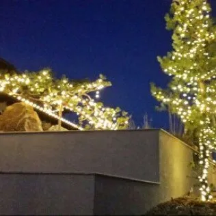 Local lawn mowing service for year-round maintenance across Colorado Springs, CO - Wright Tree Lawn & Landscape Care