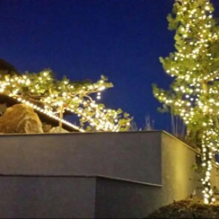 Trusted landscape design experts serving Colorado Springs, CO - Wright Tree Lawn & Landscape Care