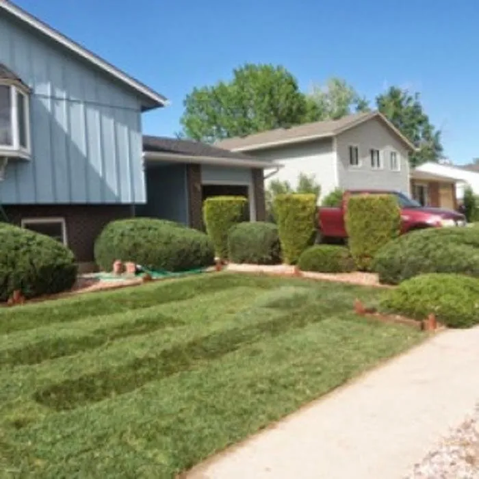 Custom residential landscaping in Colorado Springs, CO by Wright Tree Lawn & Landscape Care