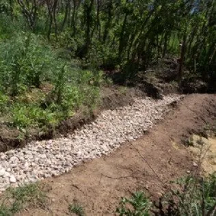 Professional lawn care service for outdoor upgrades across Colorado Springs, CO - Wright Tree Lawn & Landscape Care