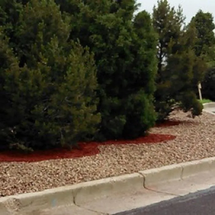 Top-rated landscaping services in Colorado Springs, CO by Wright Tree Lawn & Landscape Care