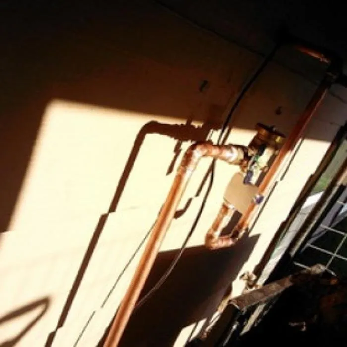 Local yard maintenance in Colorado Springs, CO - Wright Tree Lawn & Landscape Care