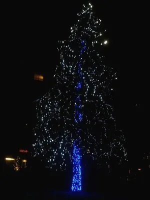 Wright Tree Lawn & Landscape Care Logo