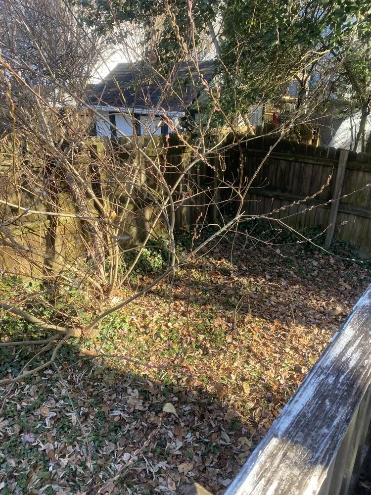 Top-rated yard cleanup service in Richmond, VA - Wright Way External Care