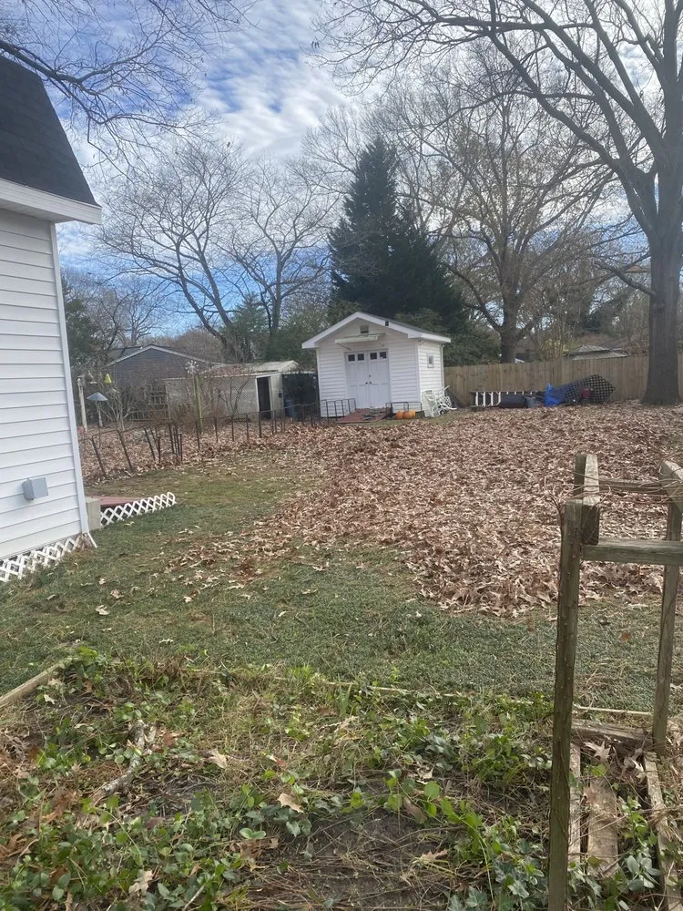 Reliable yard cleanup service experts serving Richmond, VA - Wright Way External Care