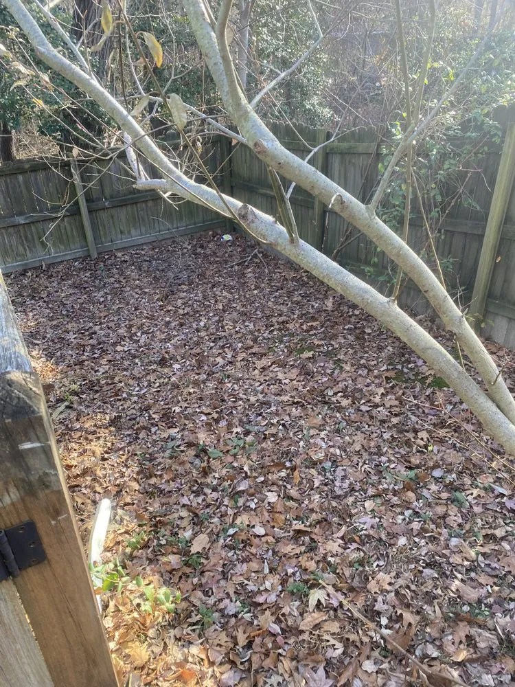 Local lawn care service in Richmond, VA by Wright Way External Care