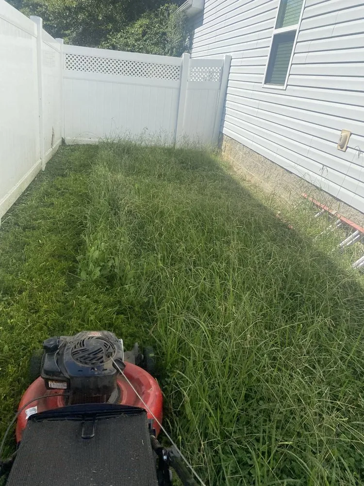 Top-rated yard maintenance in Richmond, VA by Wright Way External Care