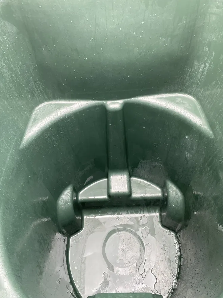 Affordable yard cleanup service in Richmond, VA - Wright Way External Care