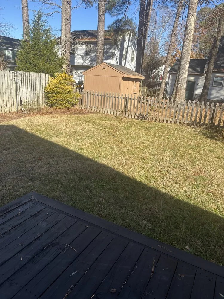 Trusted yard cleanup service experts serving Richmond, VA - Wright Way External Care