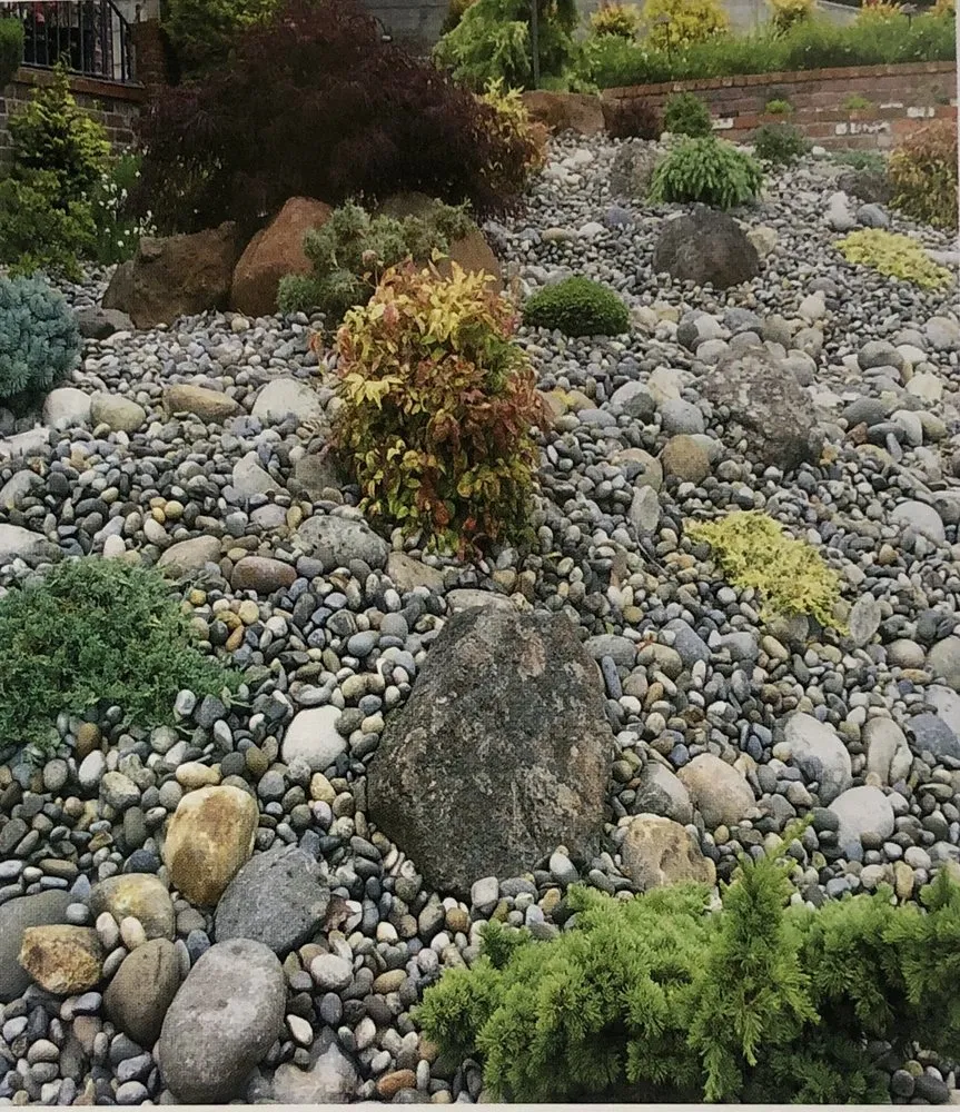 Custom lawn care service for beautiful yards in Hayward, CA by Wright-Way Landscape