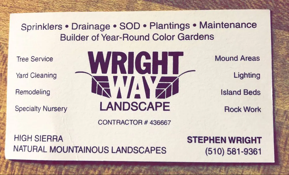 Expert yard cleanup service for year-round maintenance across Hayward, CA - Wright-Way Landscape
