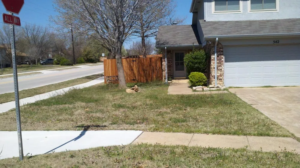 Top-rated yard cleanup service in Denton, TX by Wright Way Landscaping
