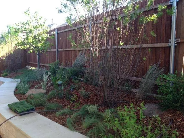Local landscaping services experts serving Denton, TX - Wright Way Landscaping