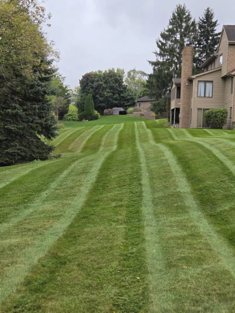 Expert yard maintenance near you in Holt, MI by Wright Way Lawn & Landscaping