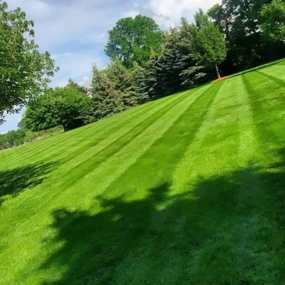 Trusted lawn mowing service experts serving Holt, MI - Wright Way Lawn & Landscaping