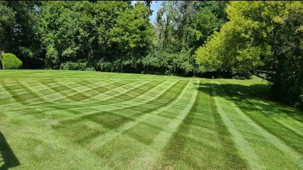 Local yard cleanup service in Holt, MI by Wright Way Lawn & Landscaping