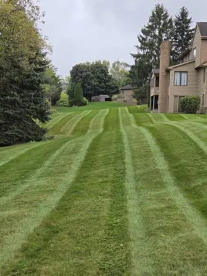 Wright Way Lawn & Landscaping