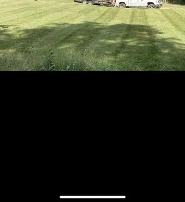 Wright Way Lawncare Logo