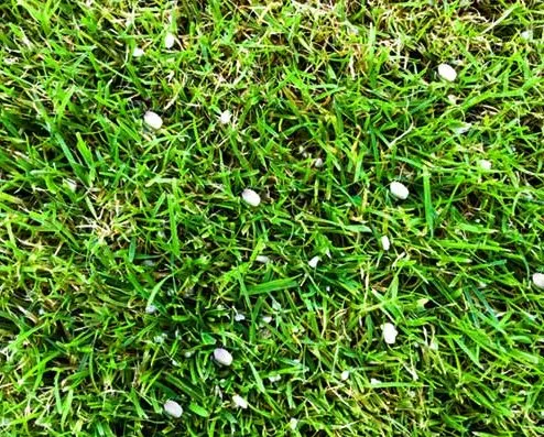 Reliable lawn mowing service in Burlingham, NY by WrightRhule's Lawn Service