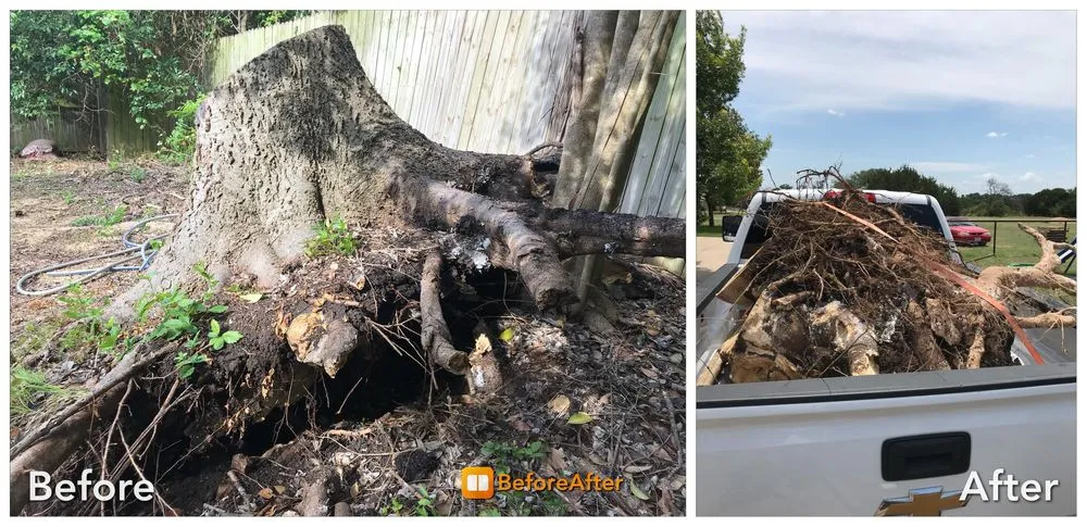 Professional yard maintenance for year-round maintenance across Lampasas, TX - Wright’s Fencing