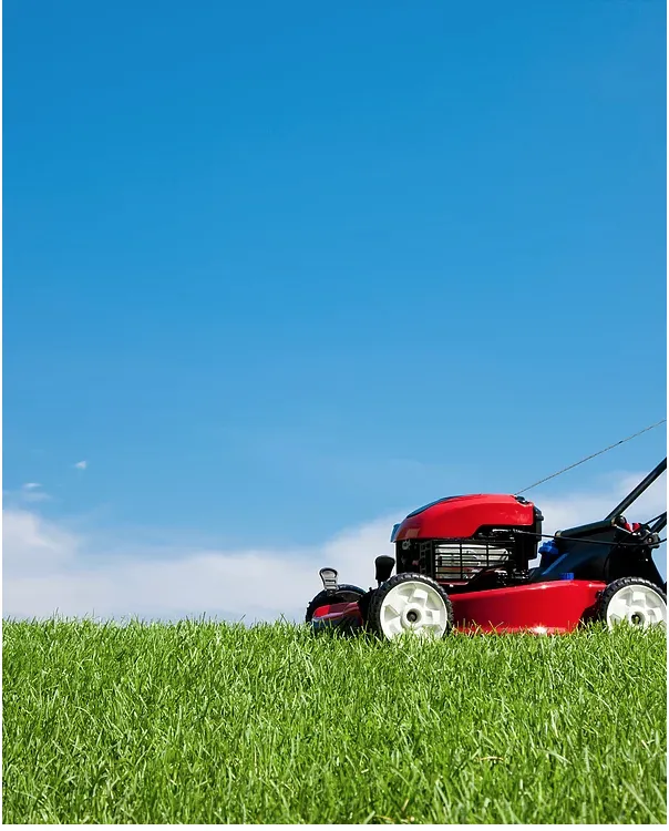 Expert landscape installation in Lampasas, TX - Wright’s Fencing