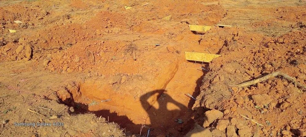 Top-rated landscape design for beautiful yards across Hartwell, GA - Wrights Grading and Tree Service