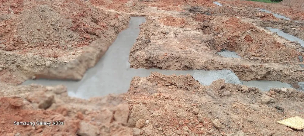 Reliable yard maintenance in Hartwell, GA by Wrights Grading and Tree Service