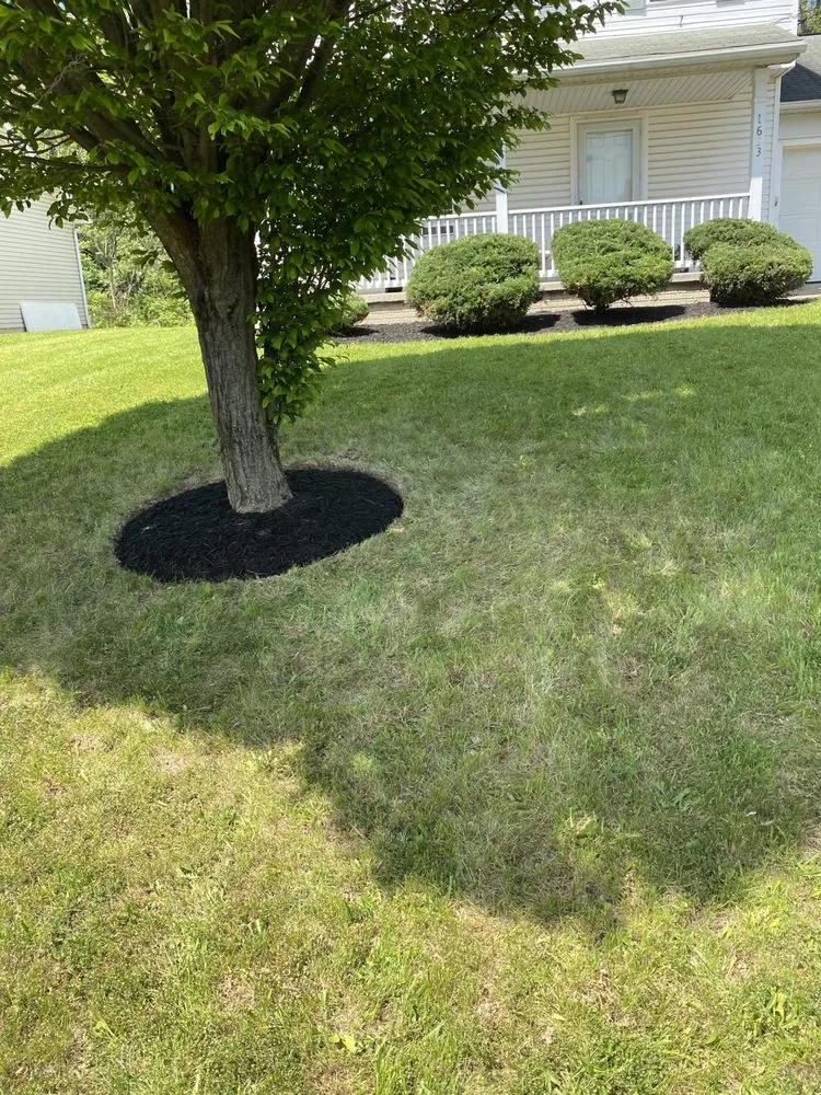 Top-rated yard cleanup service in Canton, OH - Wright's Landscape
