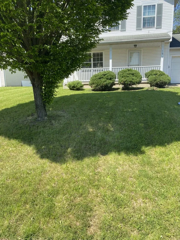 Trusted landscape installation for homes across Canton, OH - Wright's Landscape