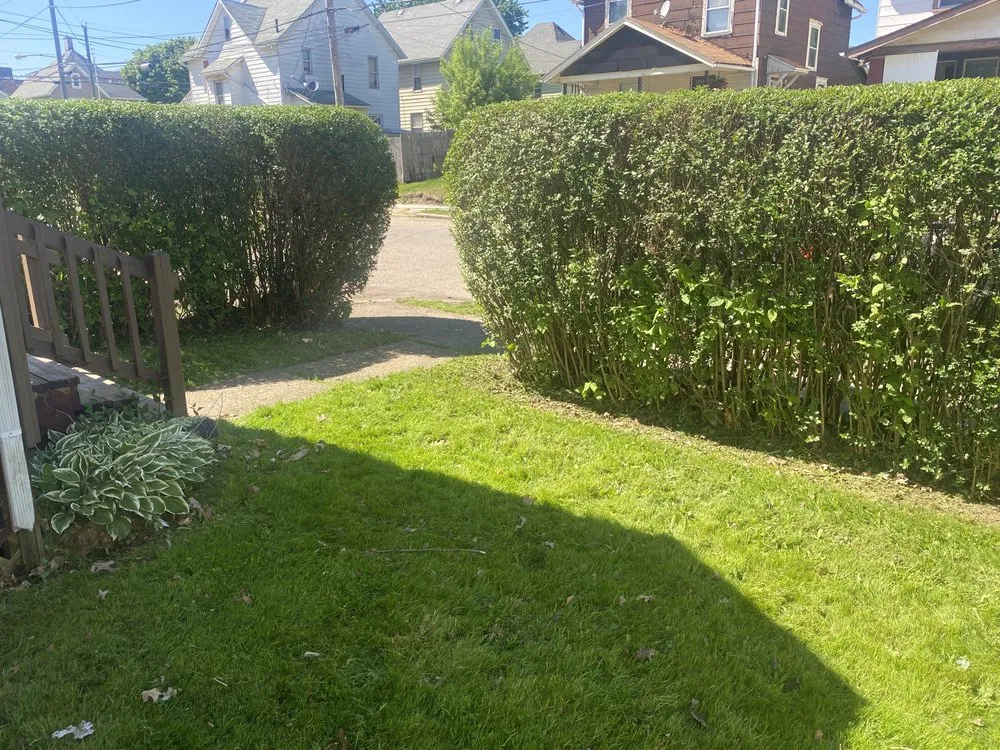 Expert yard maintenance in Canton, OH - Wright's Landscape