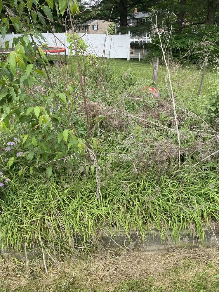 Top-rated landscaping services experts serving Canton, OH - Wright's Landscape