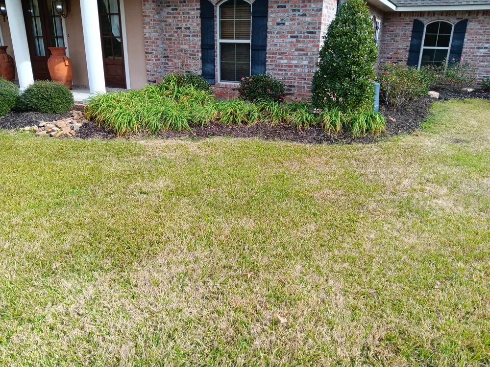 Affordable yard cleanup service in Jena, LA by Wrights Landscaping