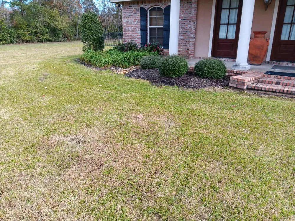 Reliable landscaping services experts serving Jena, LA - Wrights Landscaping