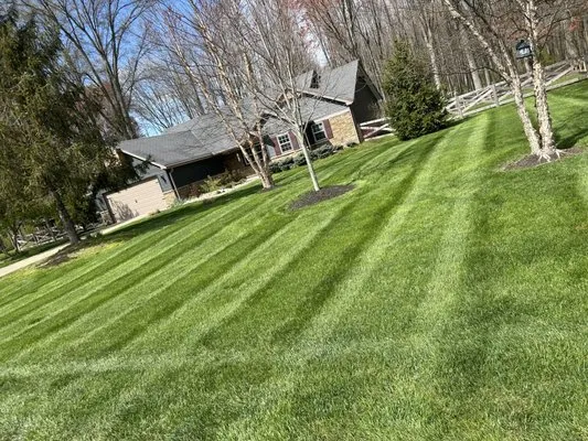 Wrights Lawn Care
