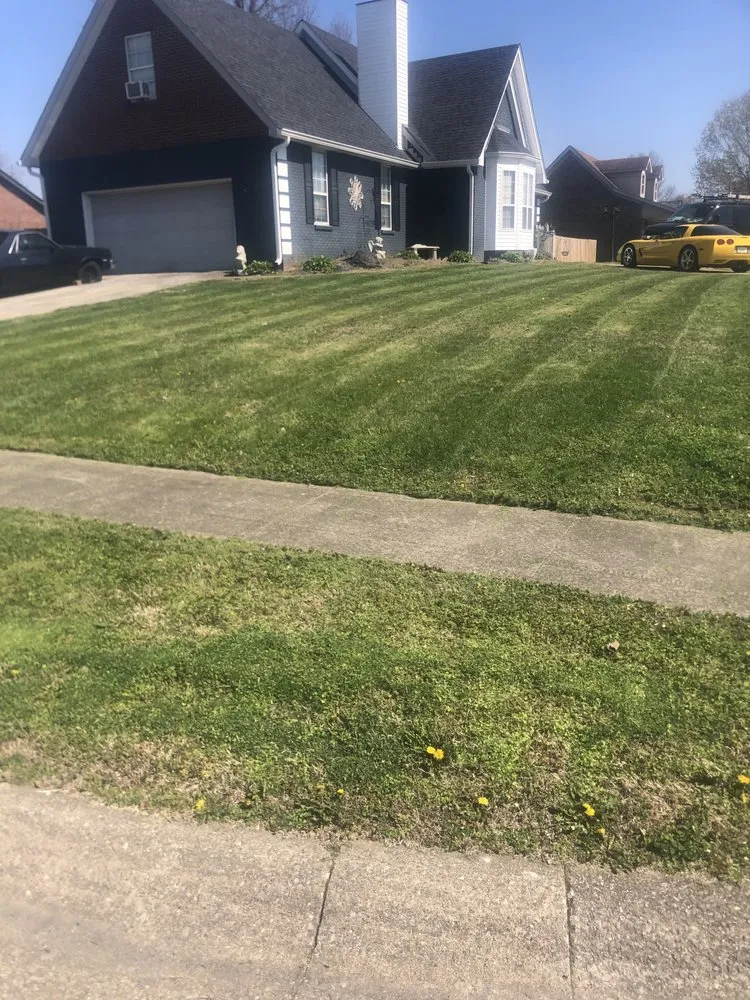 Local landscape design in Louisville, KY by Wrights Lawn Care