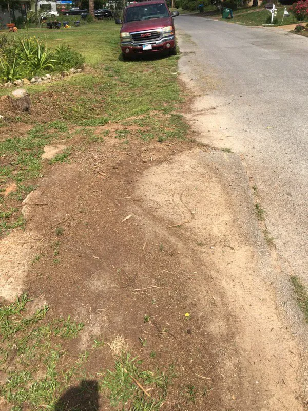 Professional landscape installation for beautiful yards across Florala, AL - Wrights Lawn Care Service