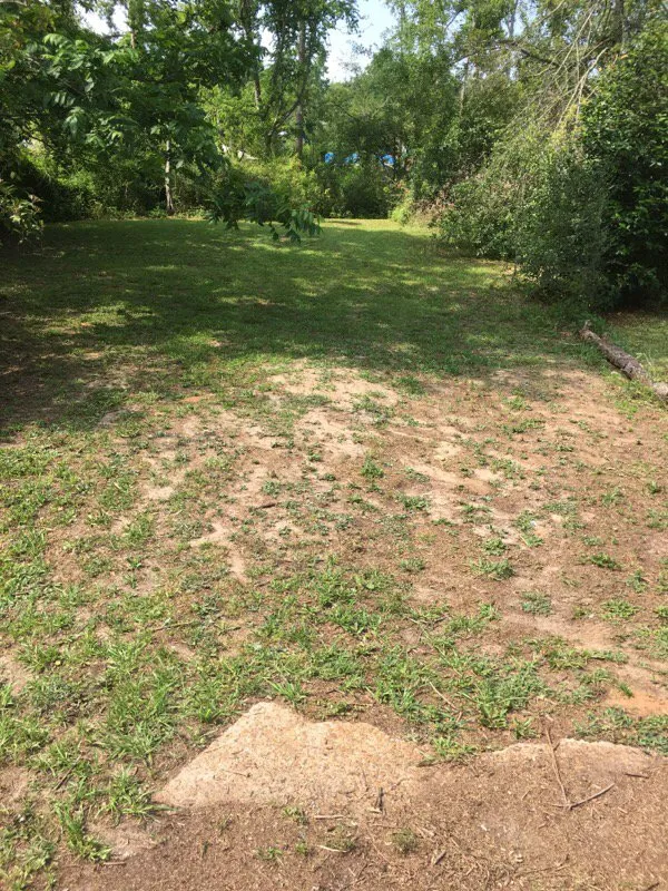 Professional yard maintenance for beautiful yards across Florala, AL - Wrights Lawn Care Service