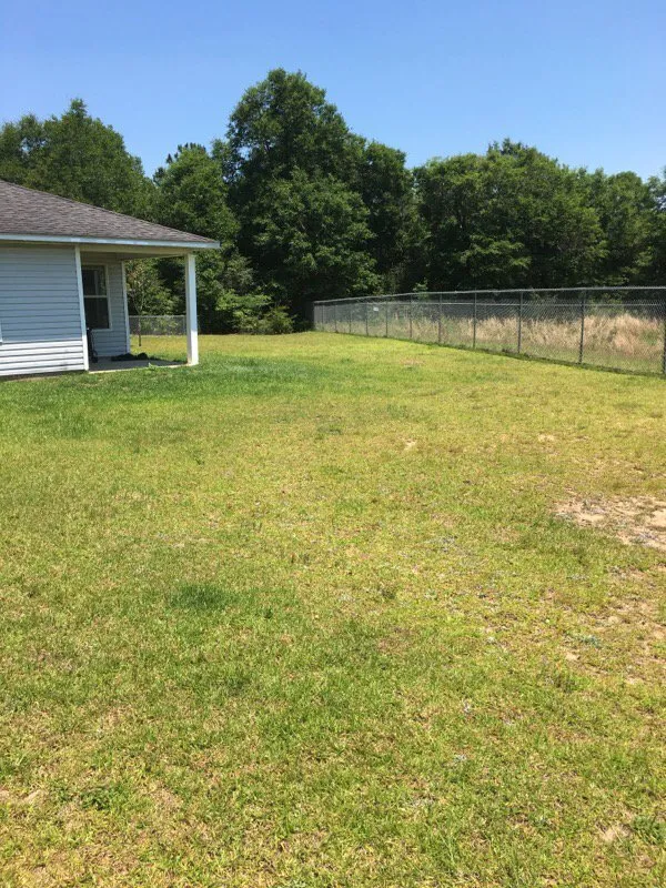 Professional yard maintenance in Florala, AL - Wrights Lawn Care Service