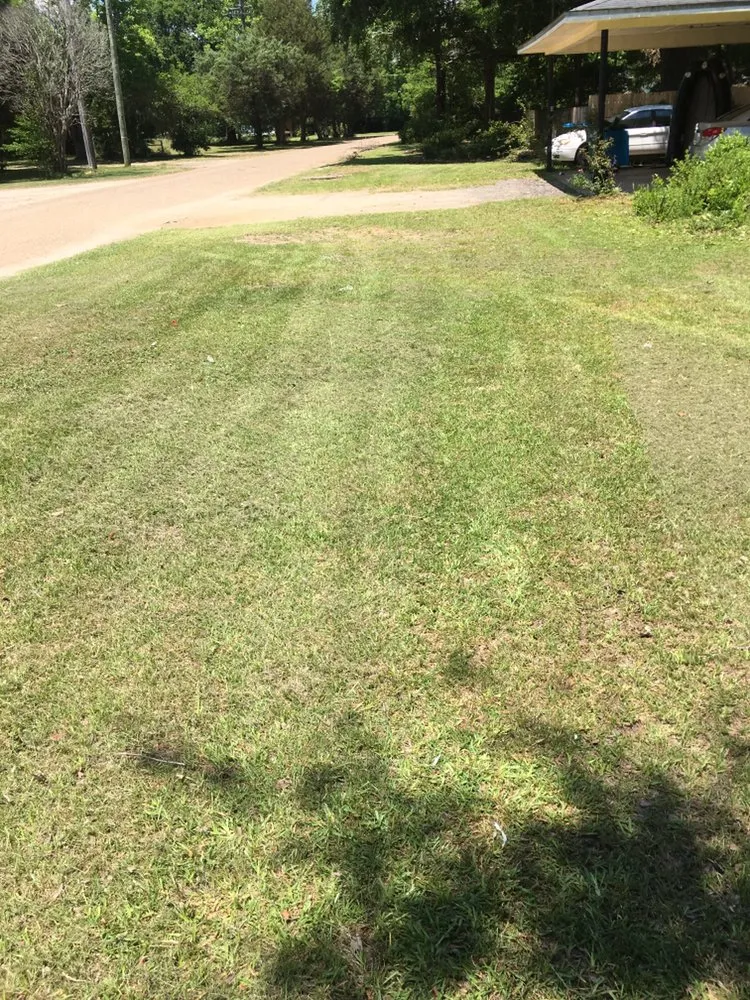 Reliable yard maintenance for year-round maintenance across Florala, AL - Wrights Lawn Care Service