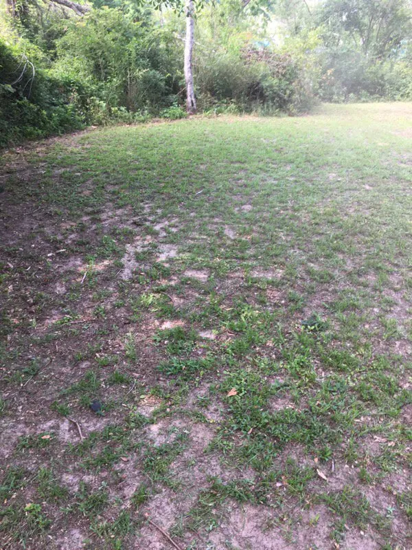 Professional yard cleanup service near you across Florala, AL - Wrights Lawn Care Service