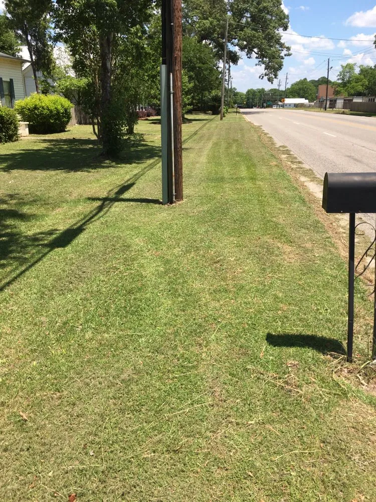 Local landscape design in Florala, AL - Wrights Lawn Care Service